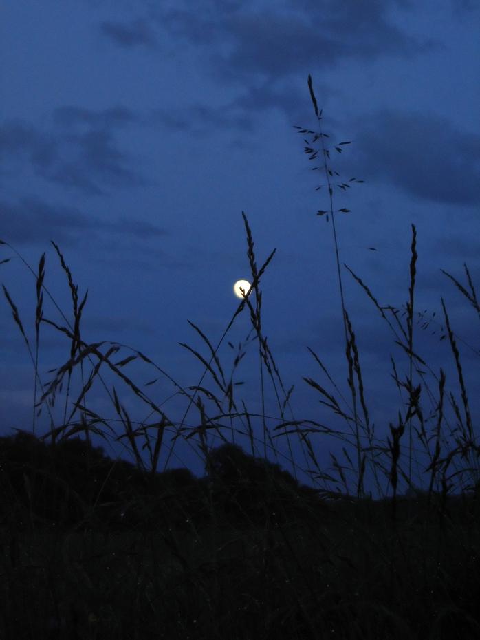 Kaum ist es Nacht, schon ist es fast wolkenlos.
