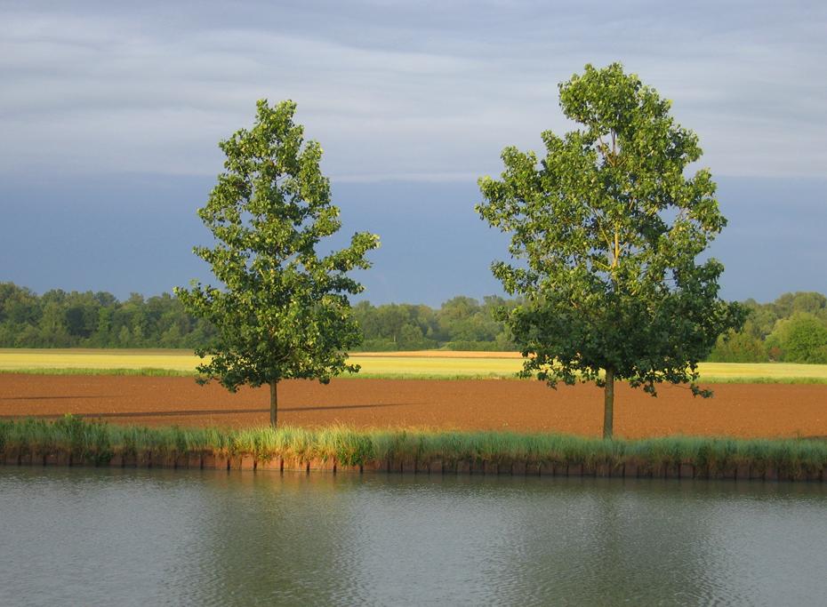 Abendsonne bei Les Fouchards