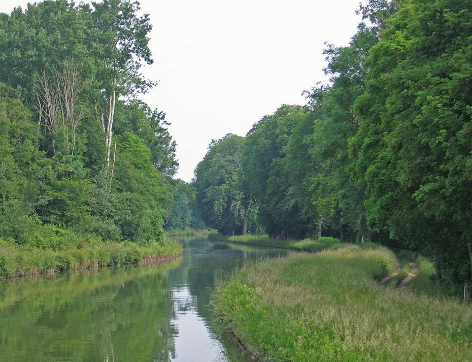 Ruhiger Abschnitt des Kanals mitten im Wald
