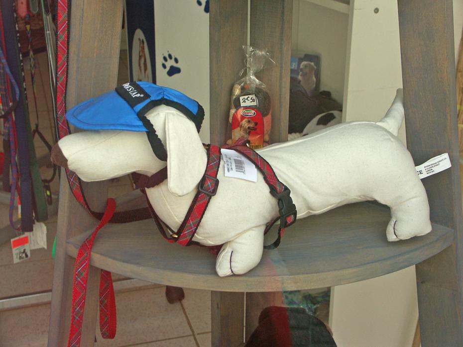 Volle Hundeausrüstung. Hat jemand schon einen Huind gesehen, der so gedressed war?