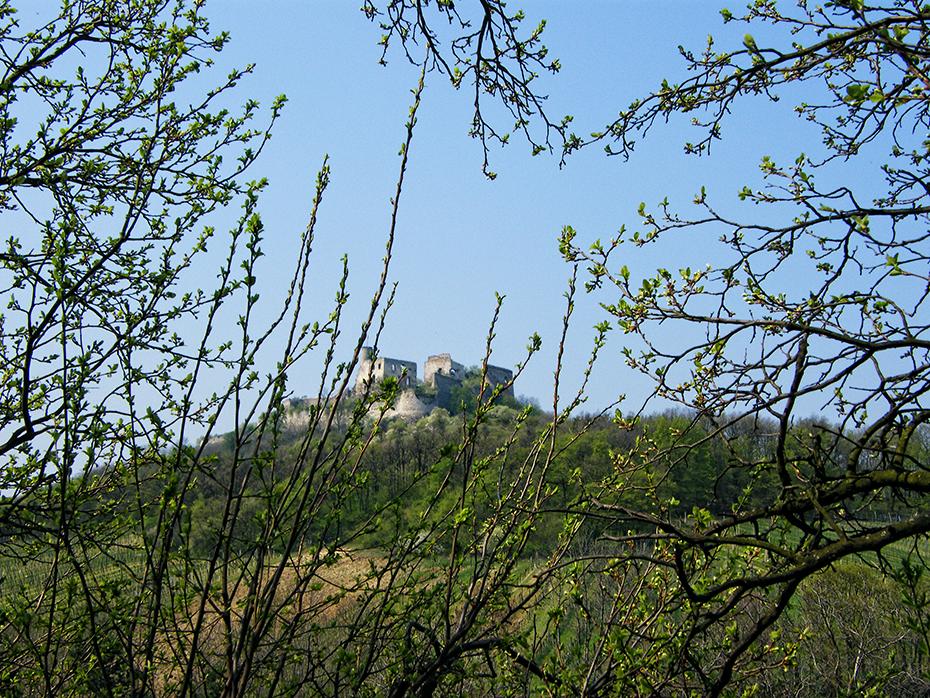 Ruine Falkenstein