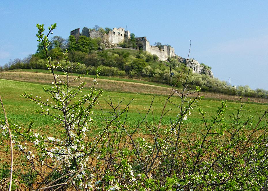 Ein letzter Blick auf die Ruine Falkenstein