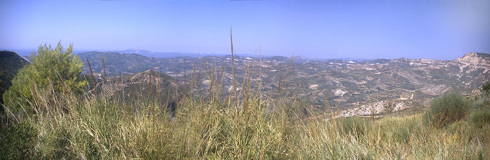 Gestrüpp mit Tal