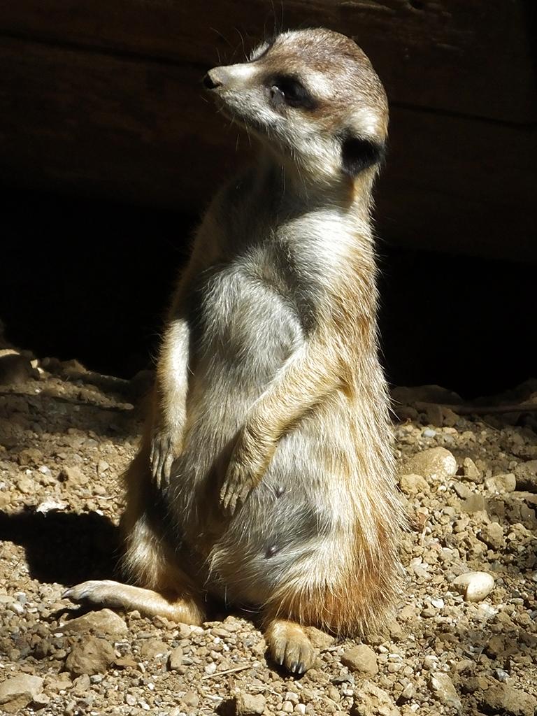 Vogelpark Turnersee