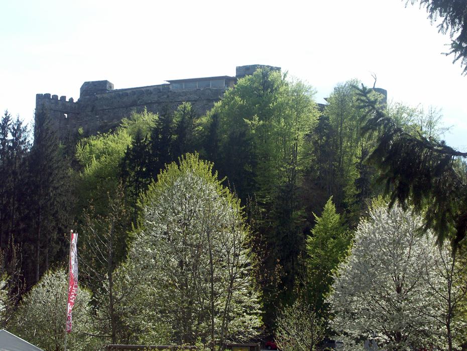 Burg Landskron
