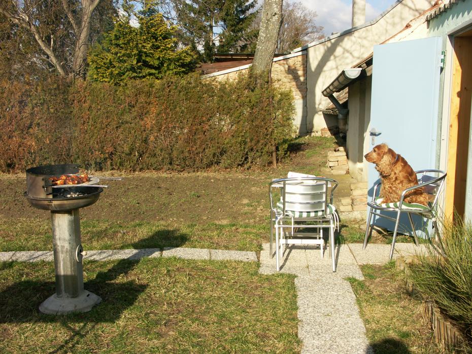 Leo liebt die Folgen unserer Katastrophe