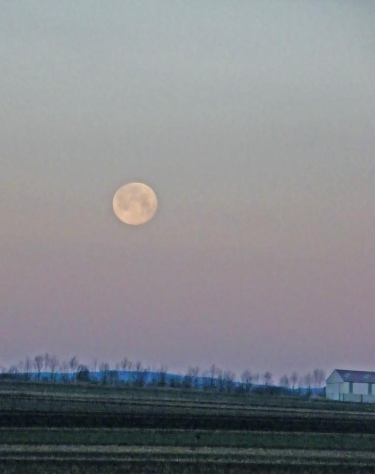 Hallo Mond!