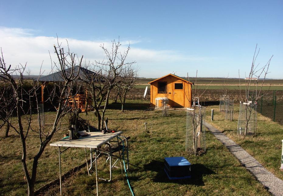 Frühling m Februar - für einen Tag
