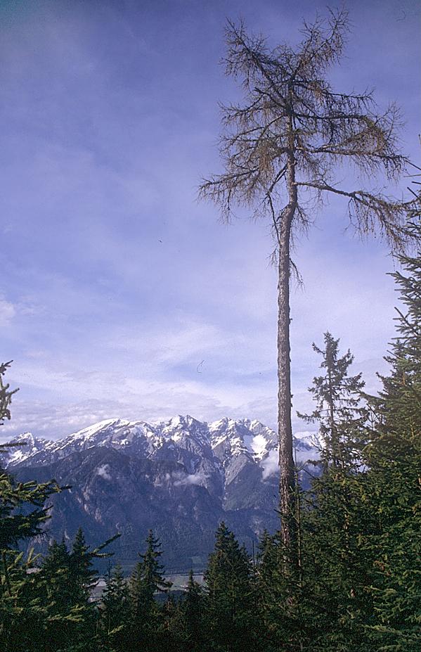 Blick auf das Inntal aus der Richtung Axamer-Lizum