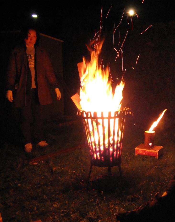 Lady of Flames