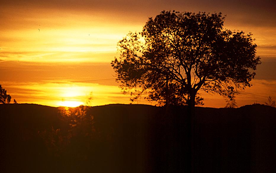 Sonnenuntergang südlich von Narbonne