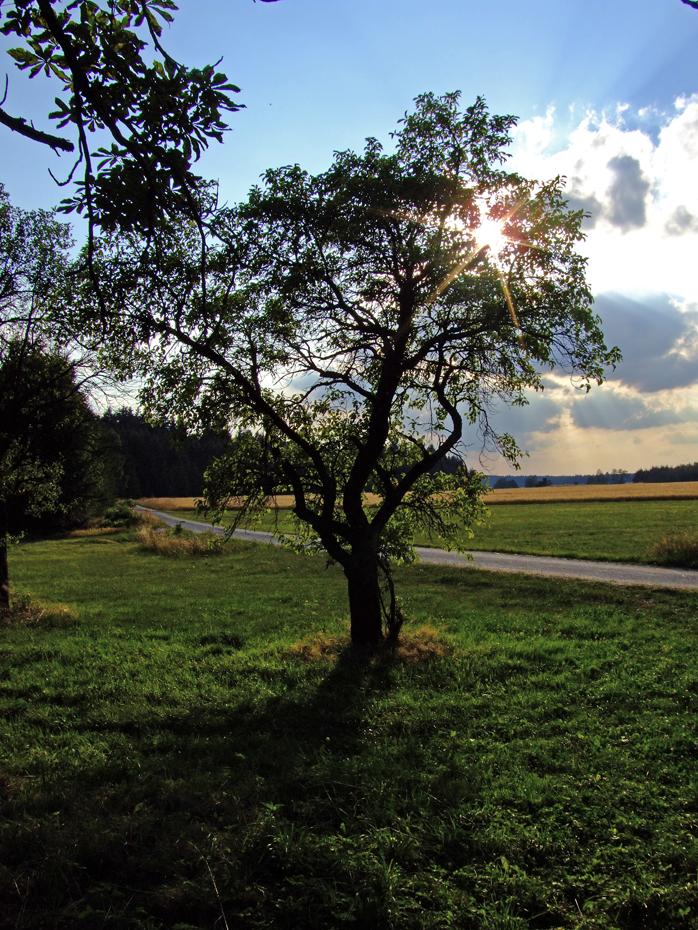 Blick am Abend von meinem Wohnwagen