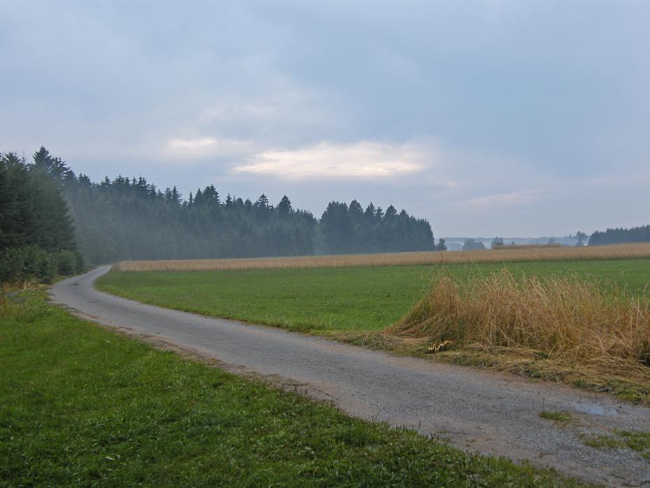 Am späten Nachmittag zogen die Nebelschwaden vom nachmittäglichen Gewitter rum
