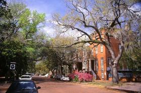 typische Straße in Savannah