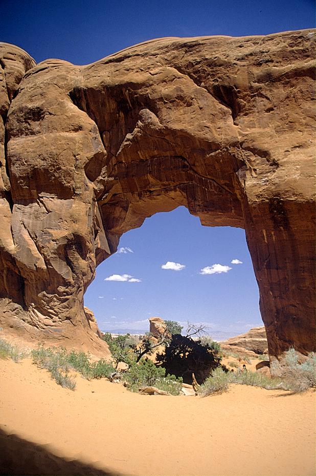 Pine Tree Arch, Arches NP.