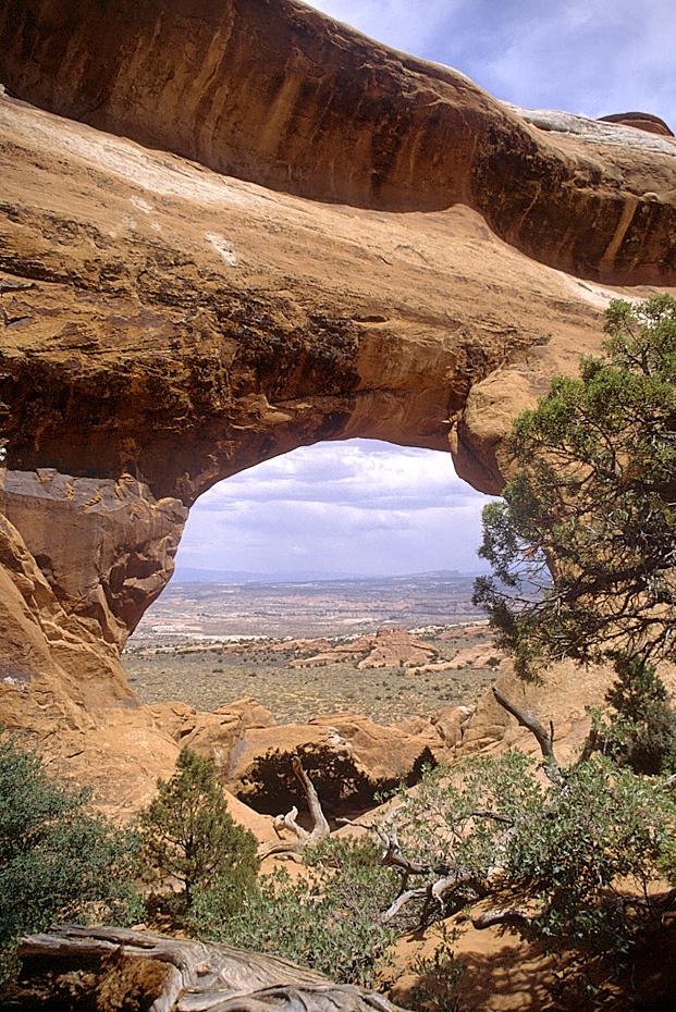 Partition Arch, Arches NP.