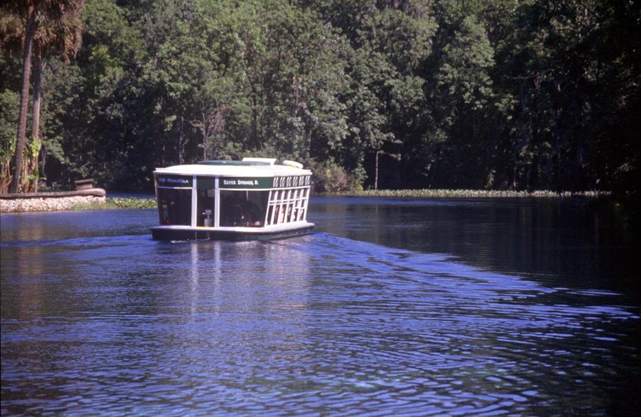 Glasbodenboot in Silver Springs