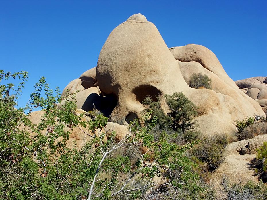 Skull Rock im Joshua Tree NP