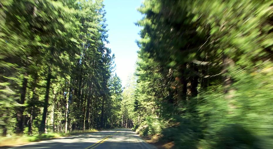 Fahrt durch den Sequoia NP