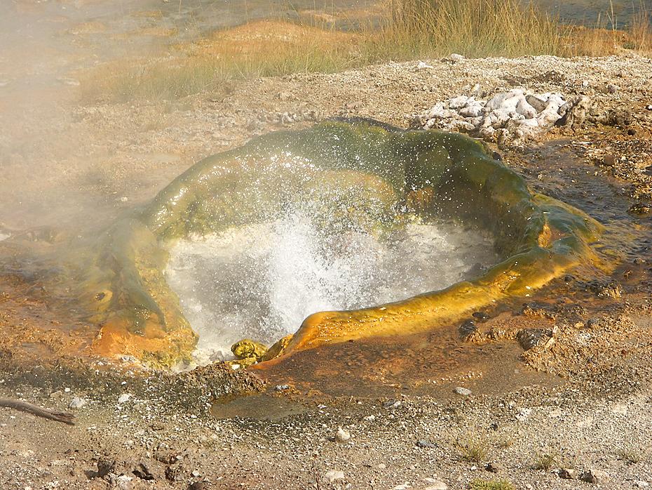 Geysier im Yellowstone NP