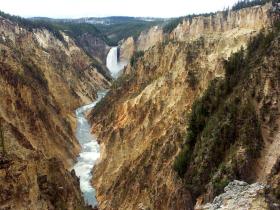 Lower Yellowstone Falls (Yellowstone NP)