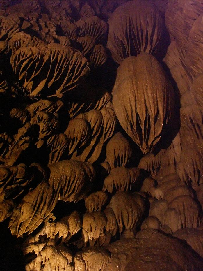 Oregon Caves NM