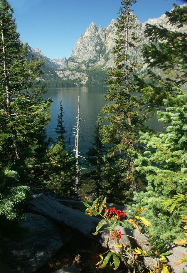 Jenny Lake, Teton NP