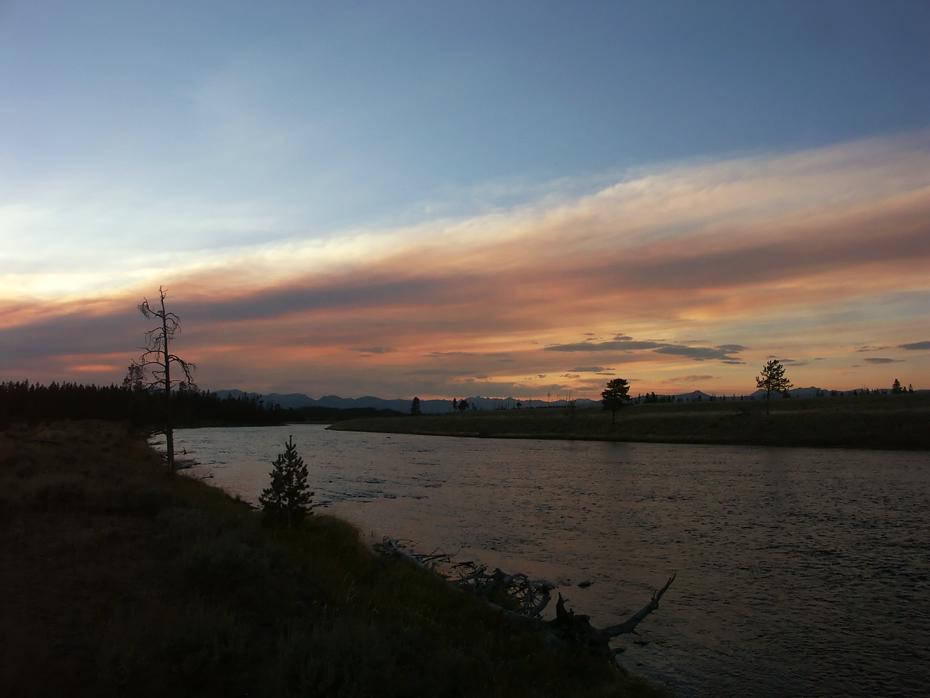 Madison River, Yellowstone NP