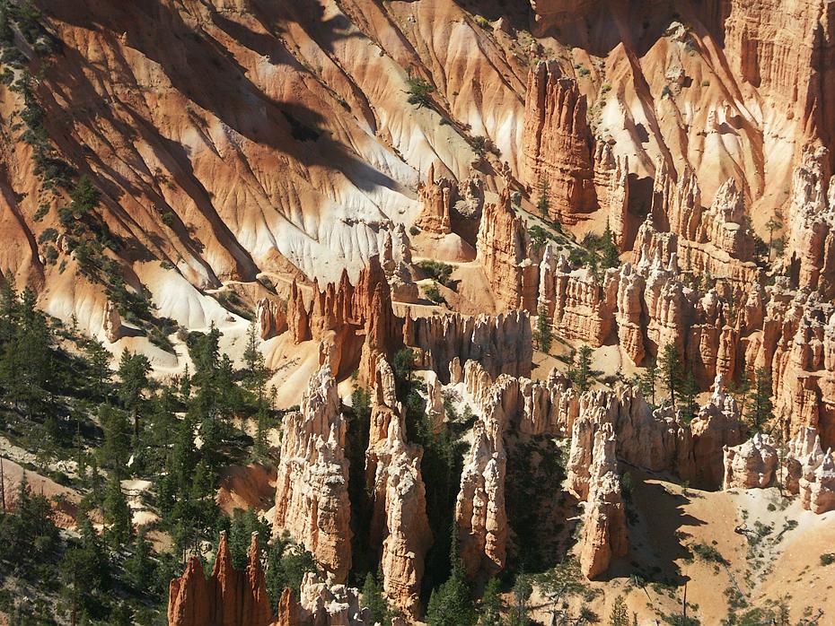 Deatil im Amphitheater, Bryce Canyon NP