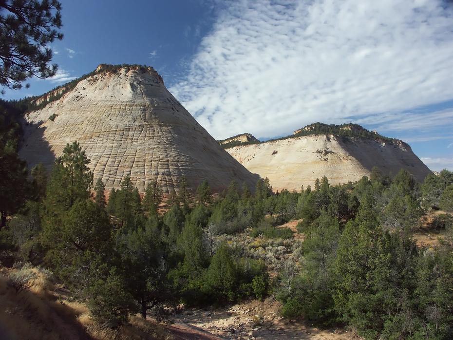 Checkerboard Mesa, Zion NP