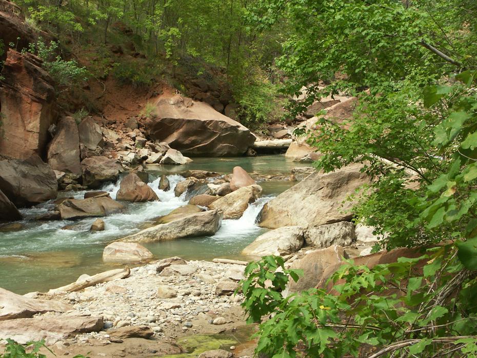 North Fork Virgin River, Zion NP
