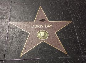 Ein Star, Hollywood, Los Angeles