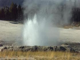 Geysier im Geyser Hill, Yellowstone NP