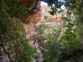 Canyon Overlook Trail, Zion NP