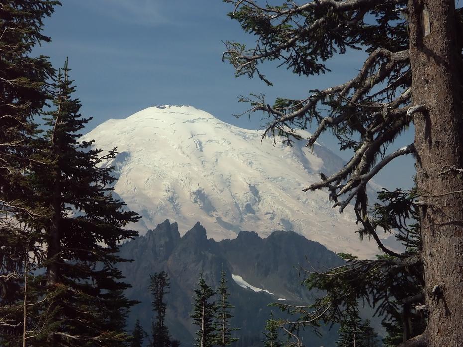 Mt. Rainier