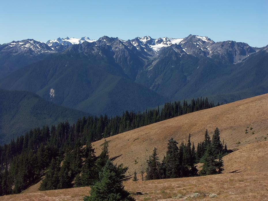 Hurricane Ridge, Olympic NP, WA