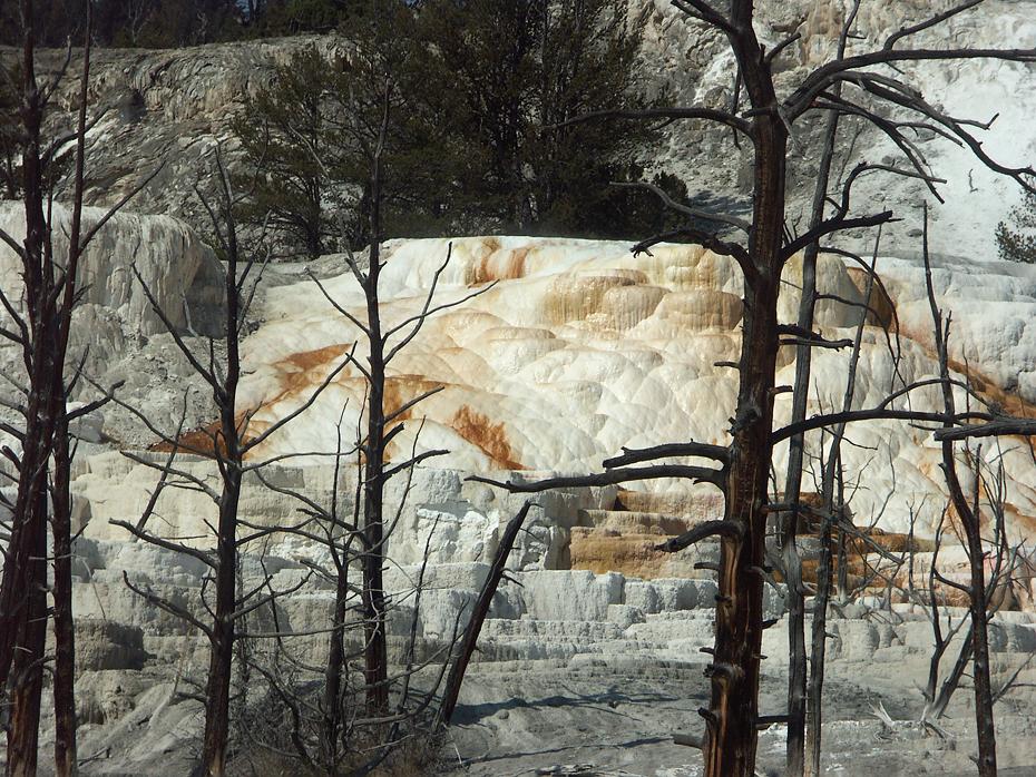 Mammoth Hot Springs, Yellowstone NP, WY