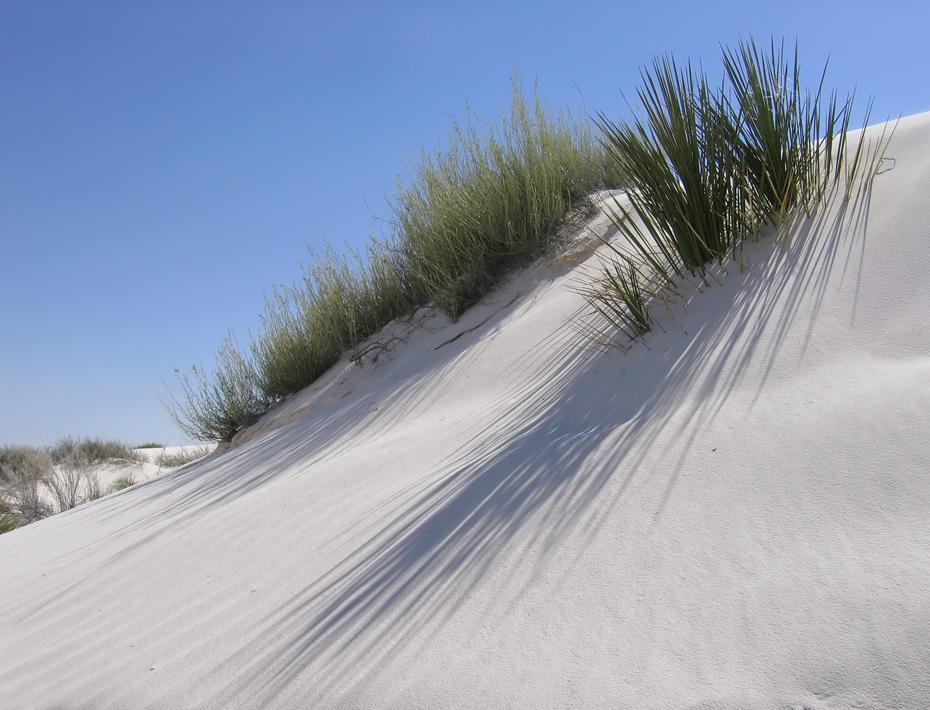 White Sands NP, NM