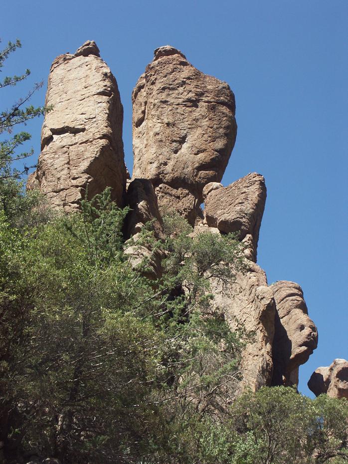 Sea Captain, Chiricahua NM, AZ