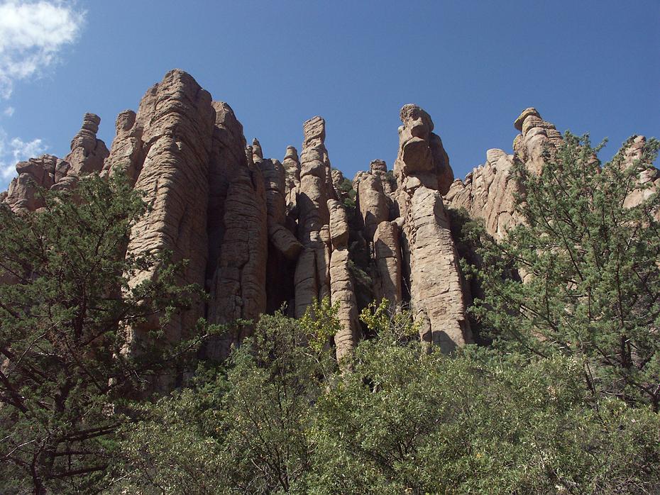 Organ Pipe, Chiricahua NM, AZ