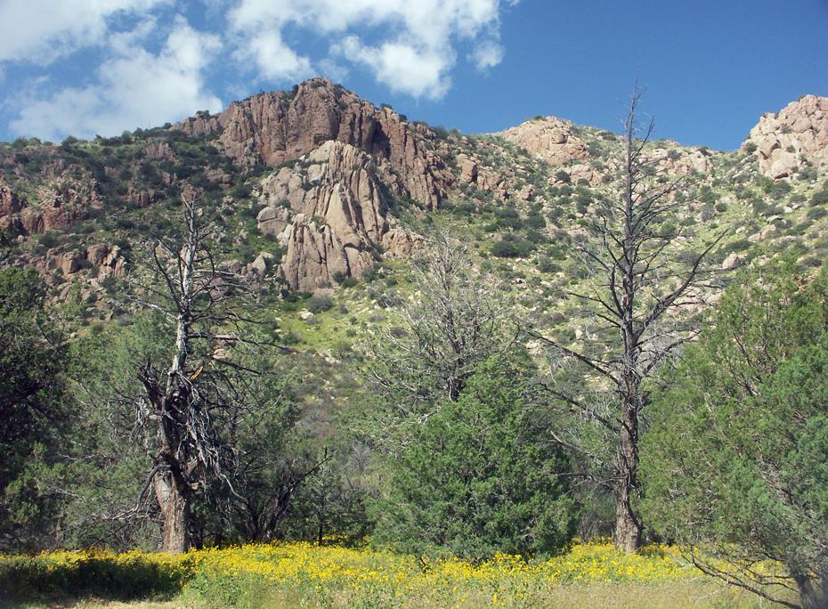 Faraway, Chiricahua NM, AZ