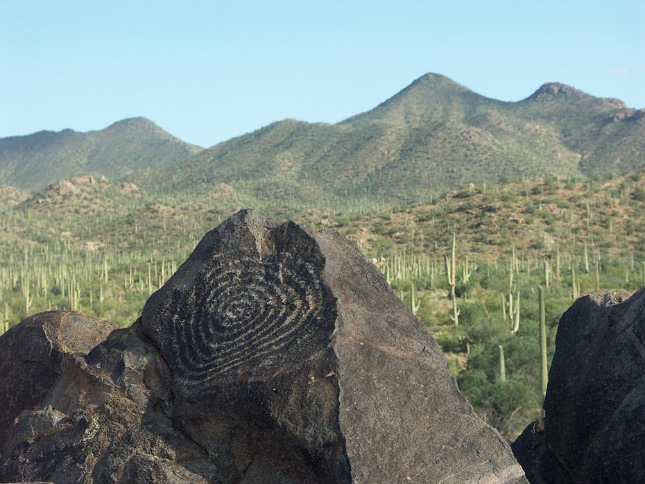 Saguaro NP, AZ