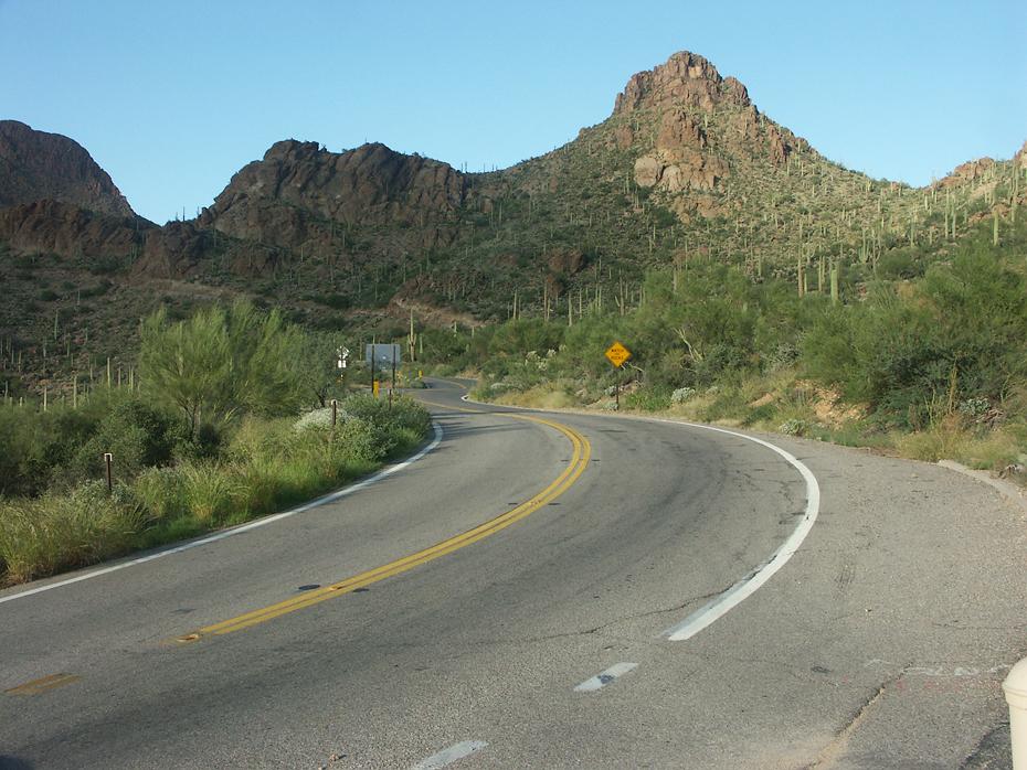 Saguaro NP, AZ