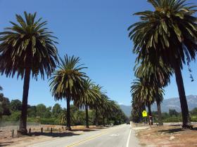 Straße in die Berge von Santa Barbara