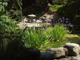 Japanischer Garten im botanischen Garten der Universität Berkeley