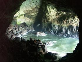 Sea Lion Caves, OR