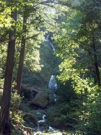 Wasserfall im Columbia River Gorge NRA