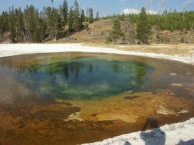 Upper Basin, Yellowstone NP, WY