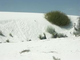 White Sands NP, NM