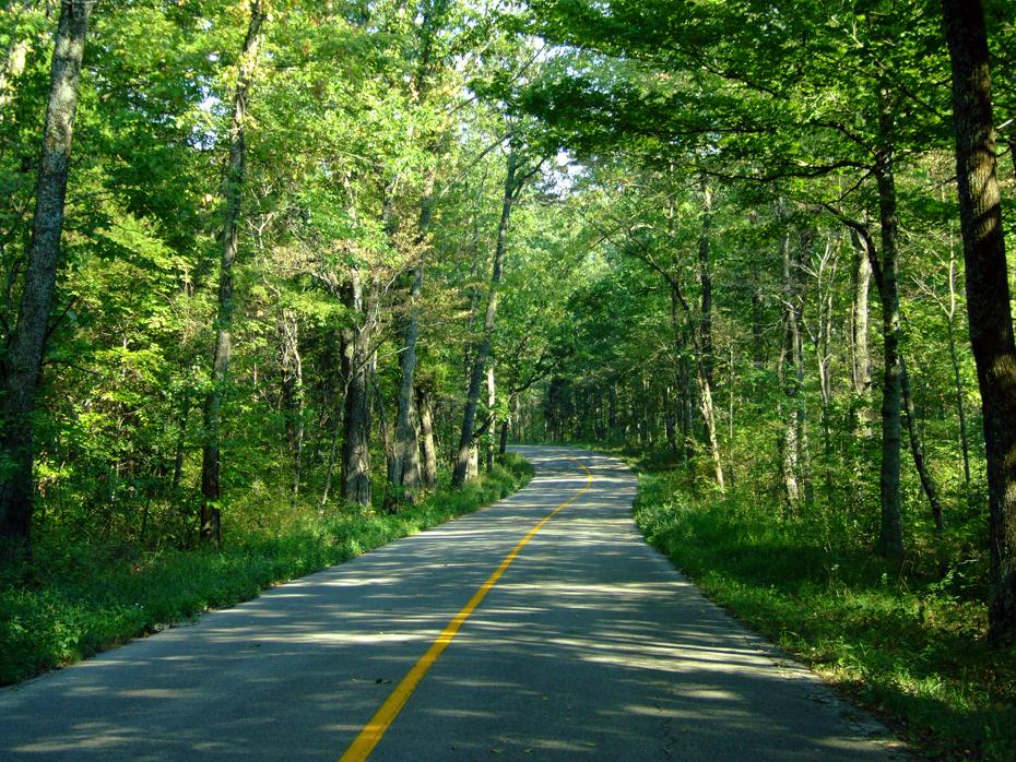 Sehr einsame Straße, Mammoth Cave NP, KY